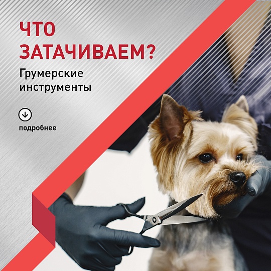 Что затачиваем: Грумерские инструменты